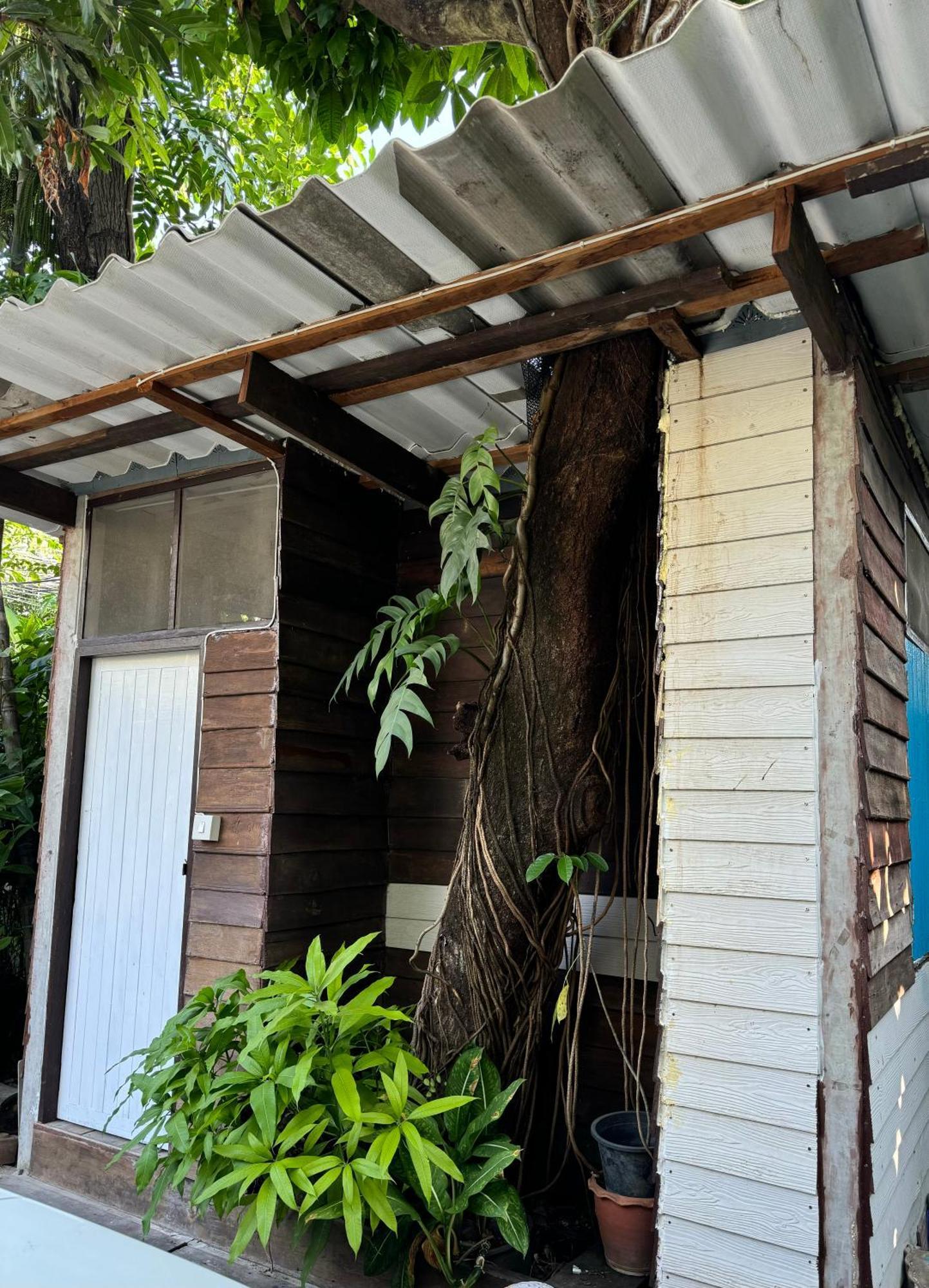 Many Trees Appartement Bangkok Buitenkant foto